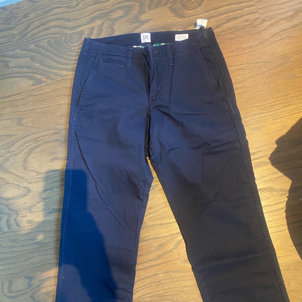 Brand new pants from Gap. Warm with underline layers. Navy.